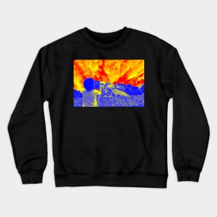 Mount Rushmore Crewneck Sweatshirt